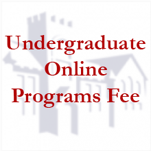 Undergraduate Online Programs Fee